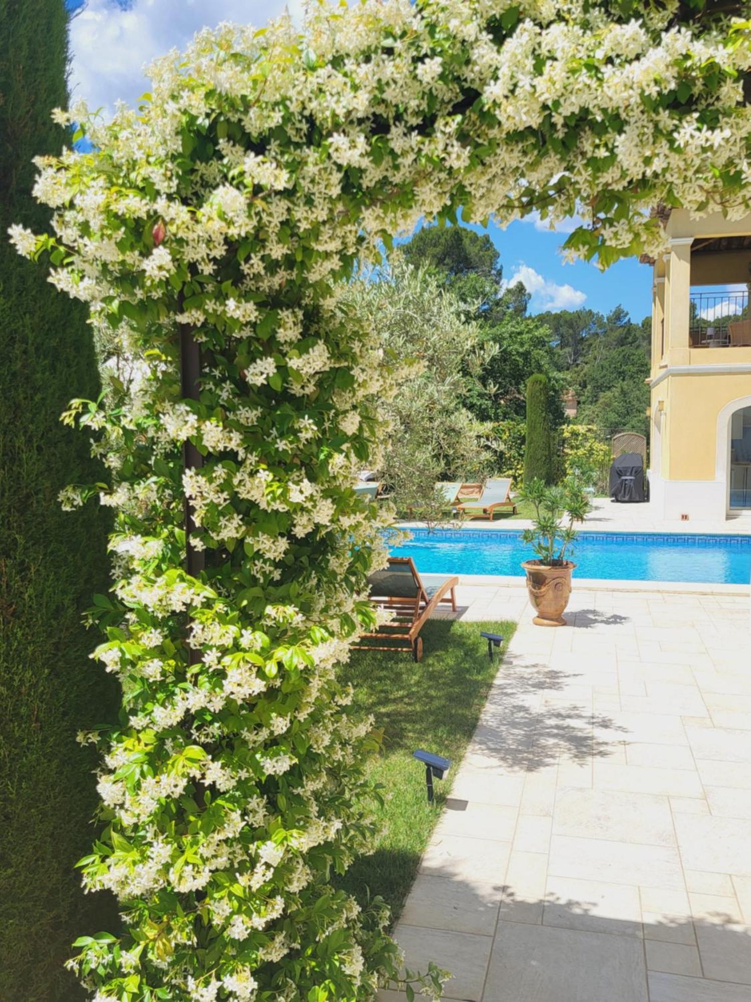 Suite con Terrazza